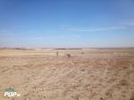 10 Grib land for sale in Ghazni Province