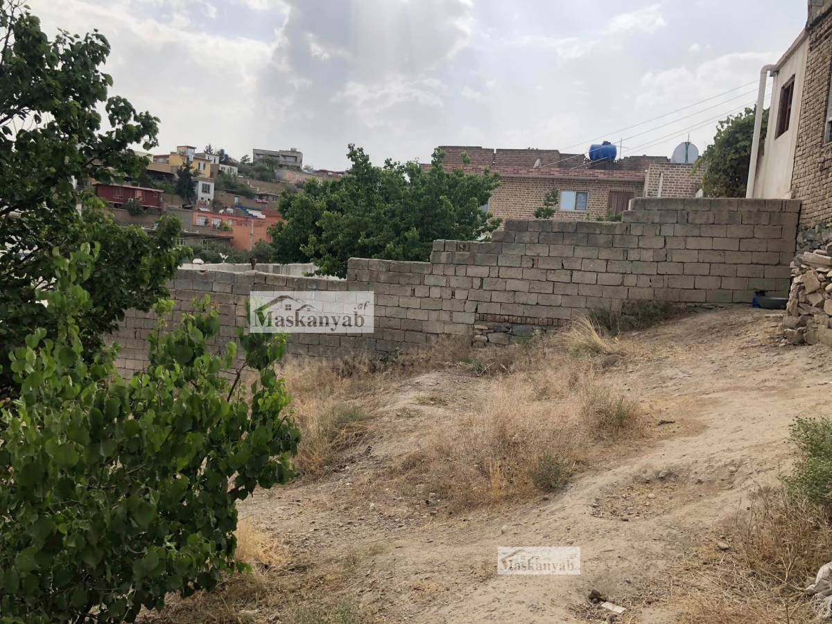 Seven Biswas land for sale in Karte New, Kabul