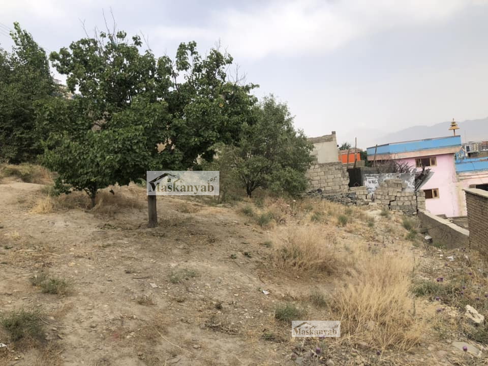 Seven Biswas land for sale in Karte New, Kabul