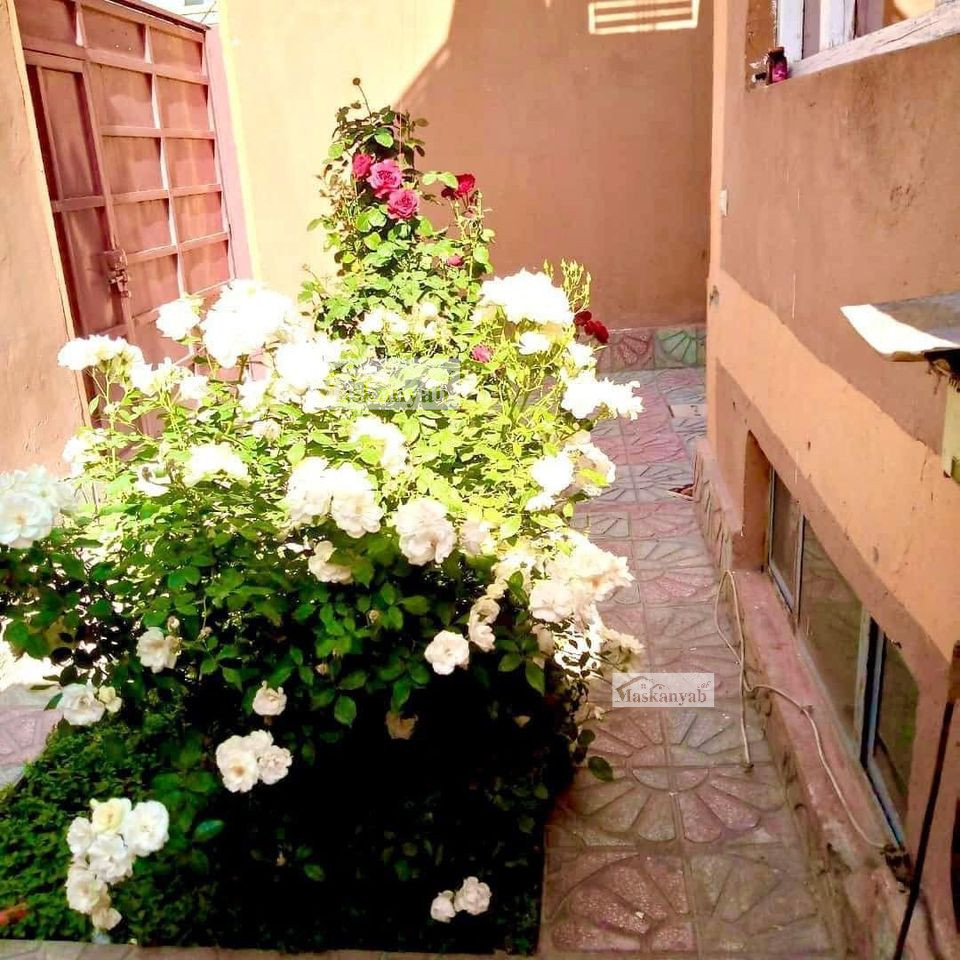 Three-room house for sale in Qala-e Khayat, Kabul