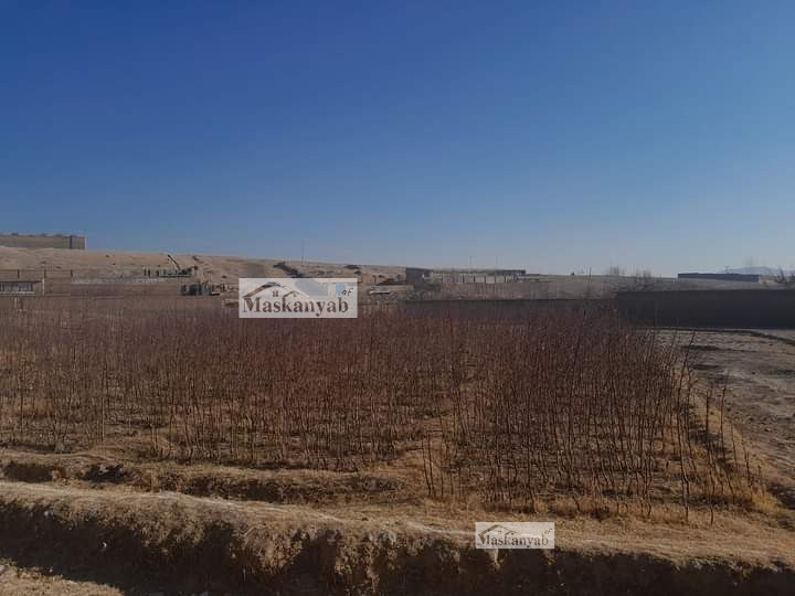 About 2 Gribs land for sale in Paghman, Kabul