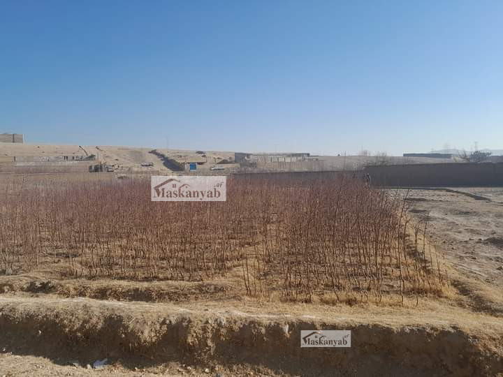 About 2 Gribs land for sale in Paghman, Kabul