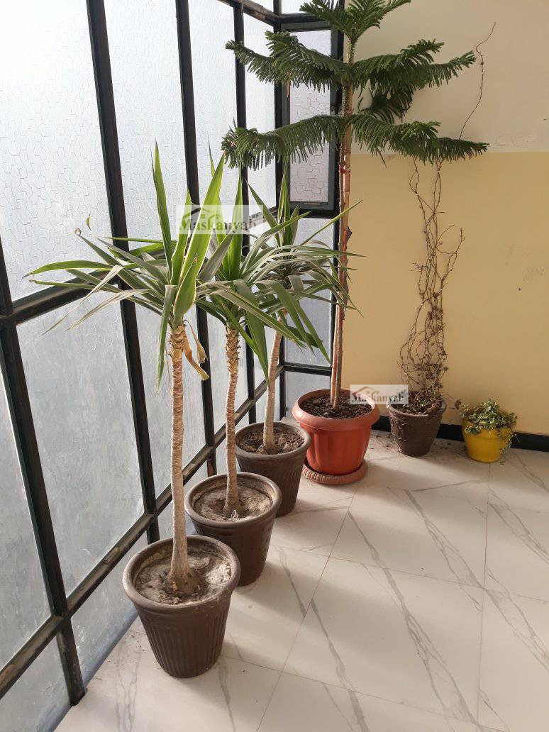 Five-room apartment for mortgage /rent in Taimani