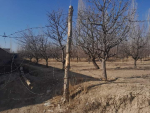 One Grib land for sale in Paghman, Kabul