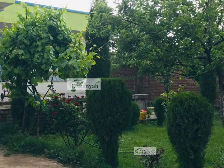 Small house for sale in Paghman district