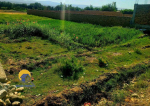 10 Biswas land for sale in Nahr Chaman, Takhar