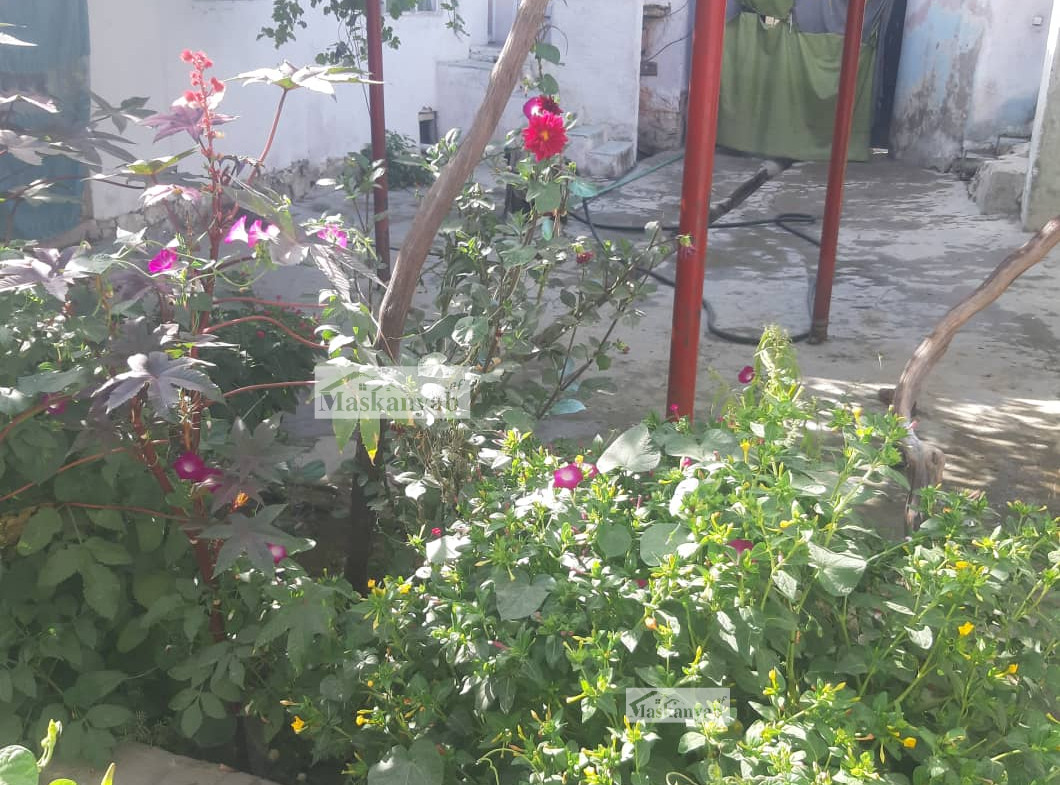 12-room house for sale in Chehel Sotun, Kabul