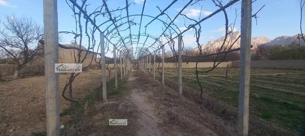 34-Biswas land (Garden) for sale in Balkh