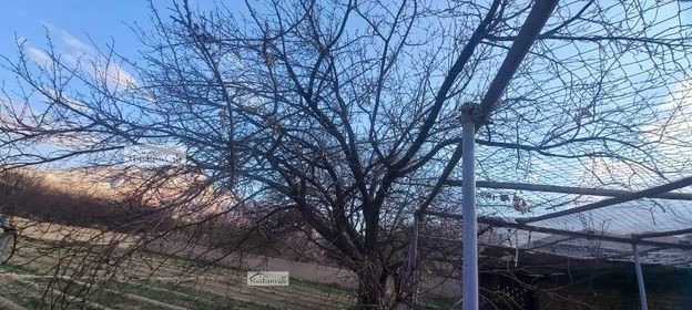 34-Biswas land (Garden) for sale in Balkh