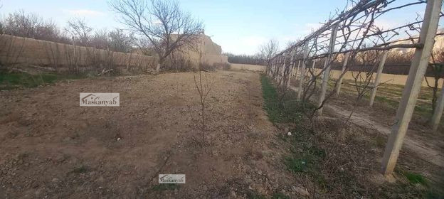 34-Biswas land (Garden) for sale in Balkh