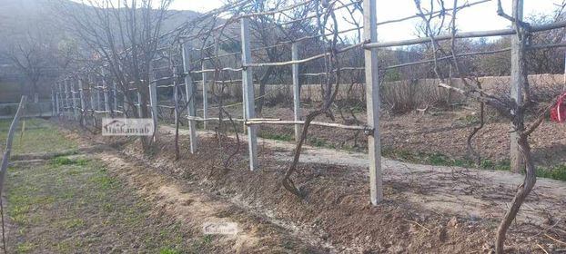 34-Biswas land (Garden) for sale in Balkh