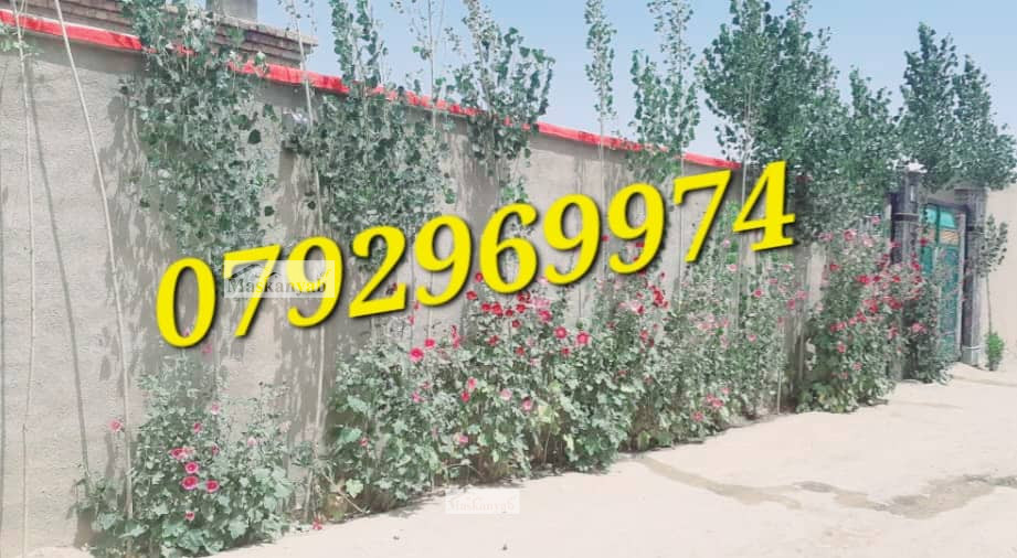 One-floor house for sale in Ghazni City