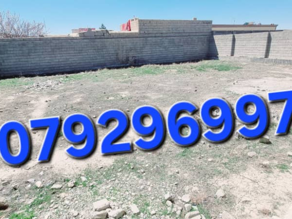 5 Biswas land for sale in Tawhid Abad Ghazni