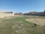 Five-Biswas land for sale in Tawhid Abad, Ghazni