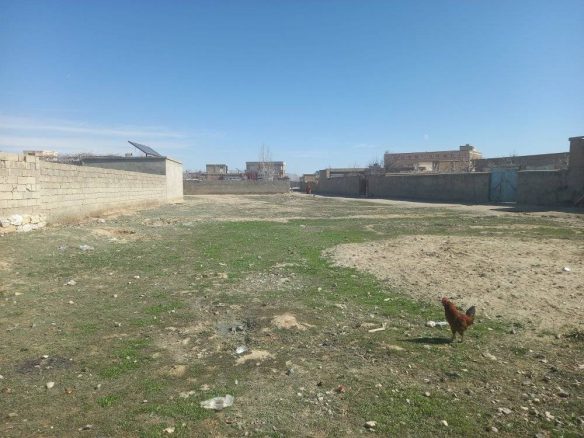 Five-Biswas land for sale in Tawhid Abad, Ghazni