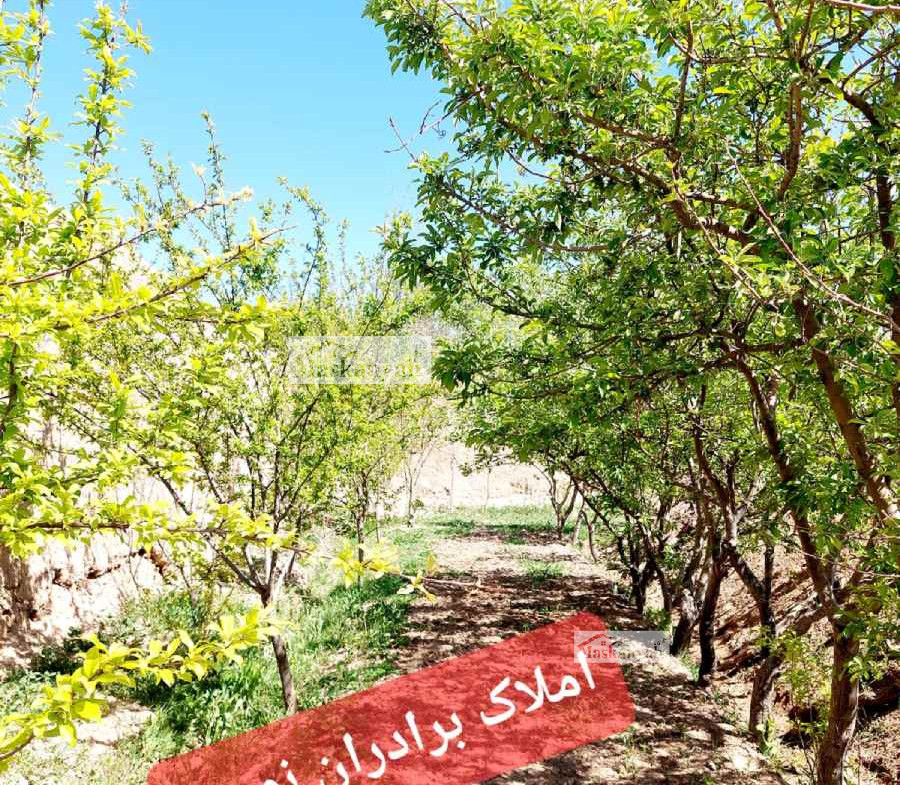Garden for sale in Hashemi Road, Herat