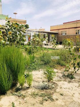 Land for sale in Ahmad Shah Baba Mina Project