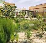 Land for sale in Ahmad Shah Baba Mina Project