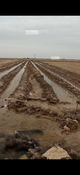 Agriculture land for sale in Mazar-e Sharif