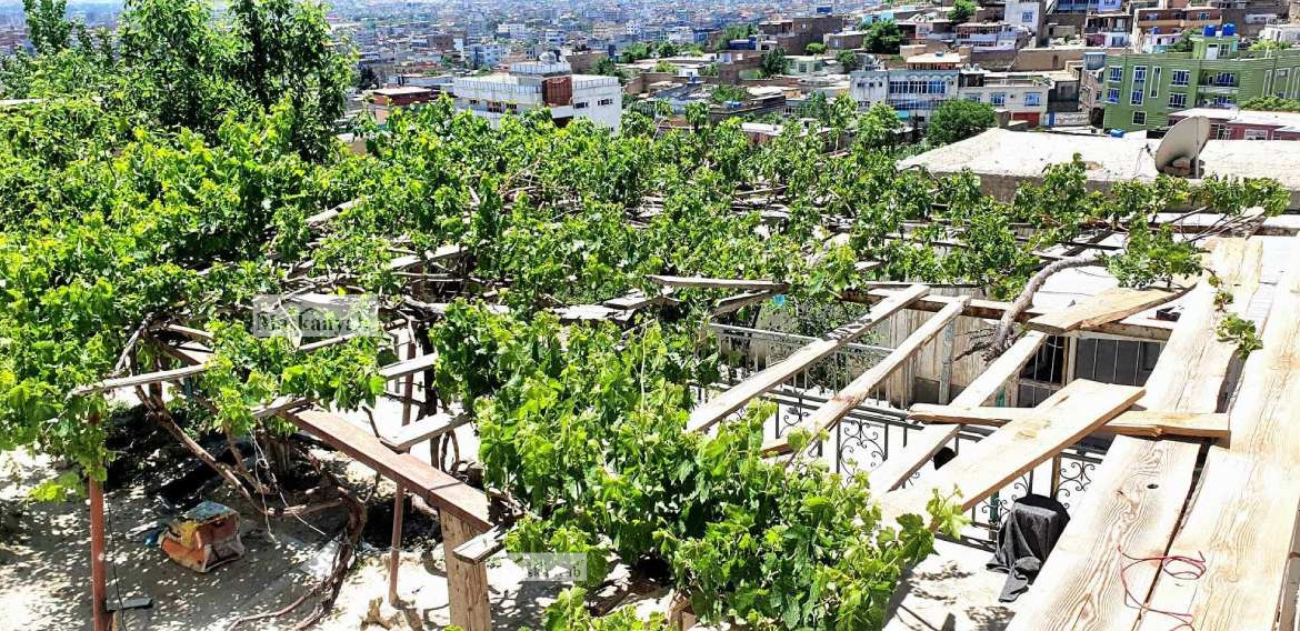 Five-room house for sale in District 8, Kabul