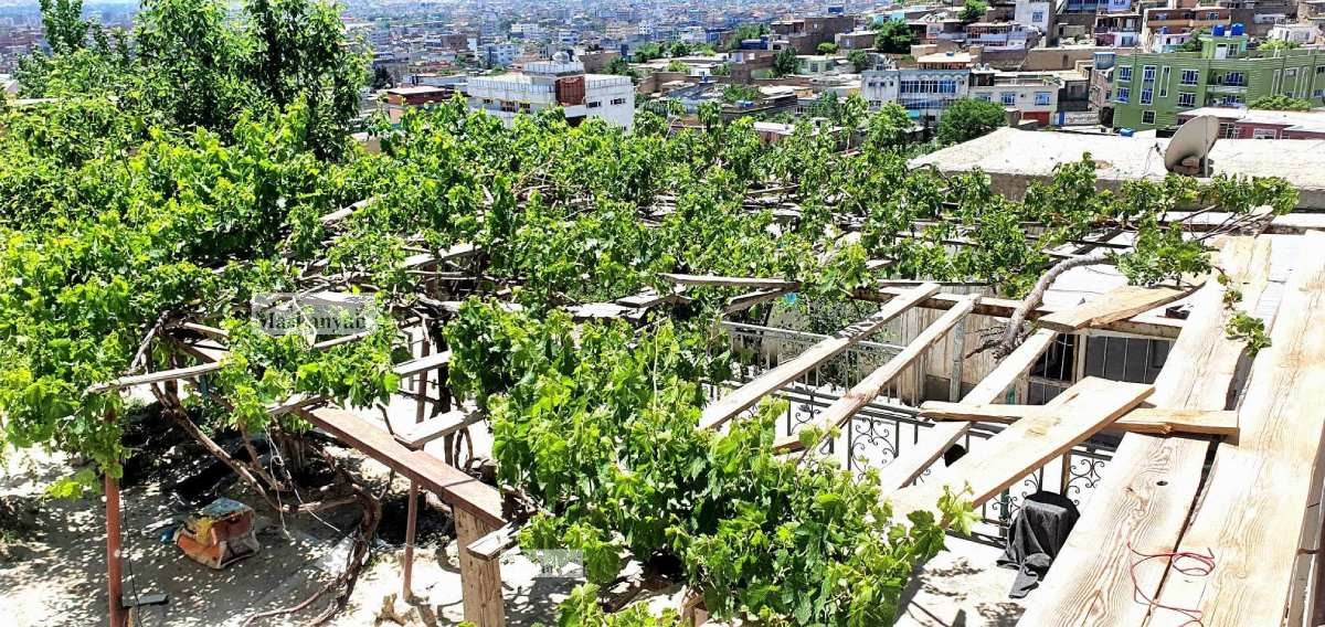 Five-room house for sale in District 8, Kabul