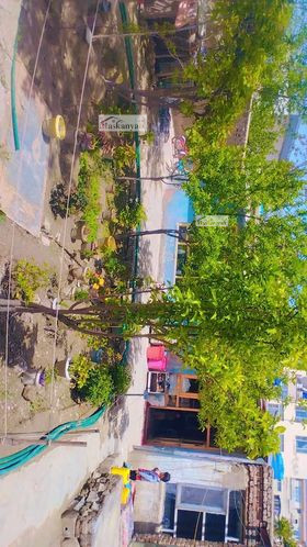 Four-room house for sale in Old Taimani, Kabul