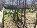 Garden for sale in Bazaar Paghman