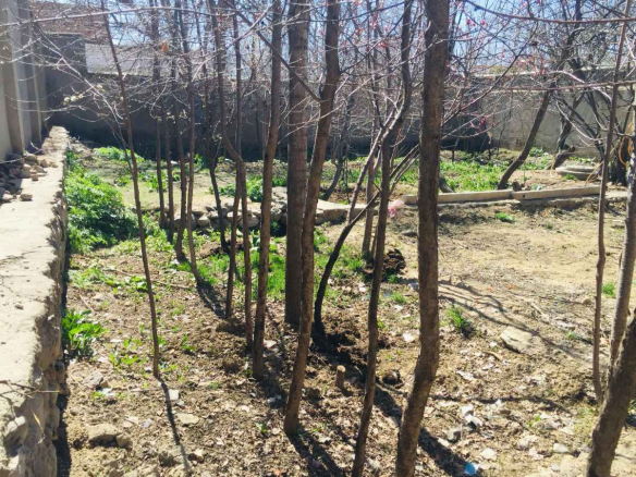 Garden for sale in Bazaar Paghman