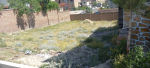 Four-Biswas land for sale in Mullah Ezzat Town