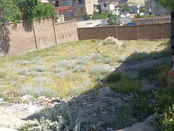 Four-Biswas land for sale in Mullah Ezzat Town