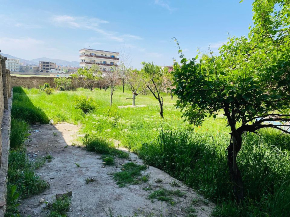 More than seven Biswas land for sale in Gulistan Town