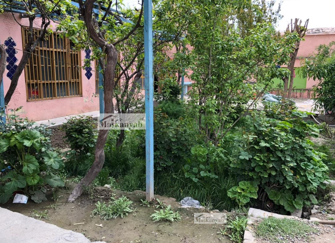 One-floor house for sale in District 7, Kabul