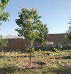 Four-side-wall land for sale at north-west of Qargha