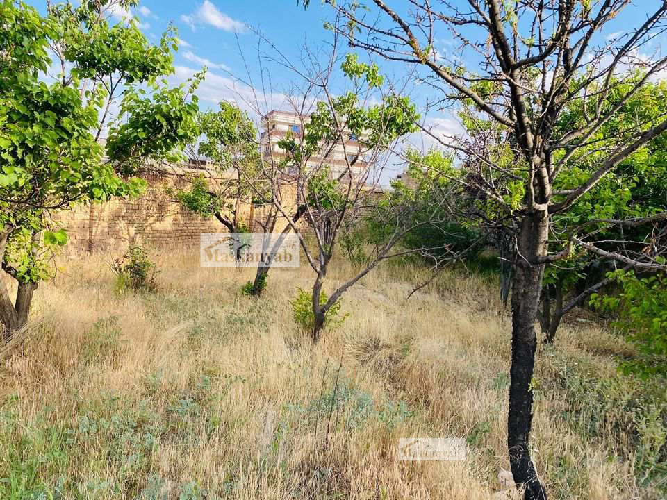More than 7 Biswas land for sale in Kotal Khair Khana