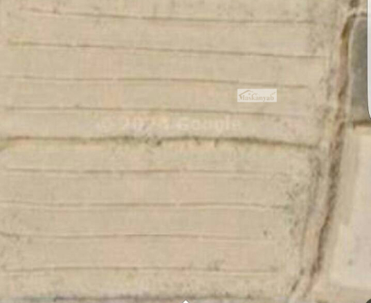 2 Grib land for sale in Deh Sabz, Baghistan Area
