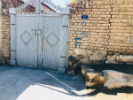 Five-room house for sale in District 11, Kabul
