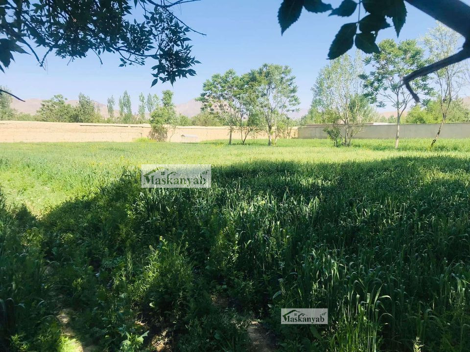 One and half Grib land for sale behind Darul Aman Palace