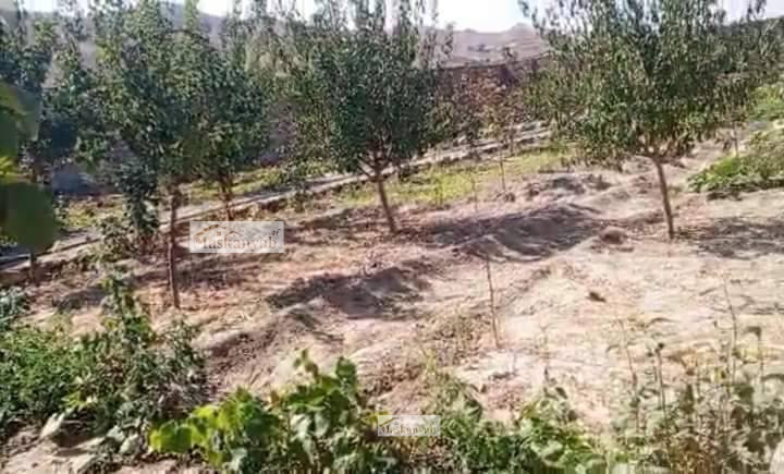 Four-room house for sale in Chahar Asyab, Kabul