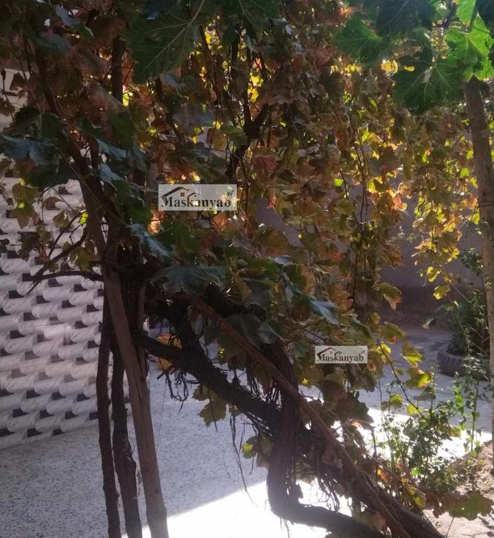 House for rent in Char Qala-e- Wazir Abad, Kabul