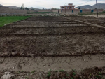 Agricultural land for sale in District 20, Kabul