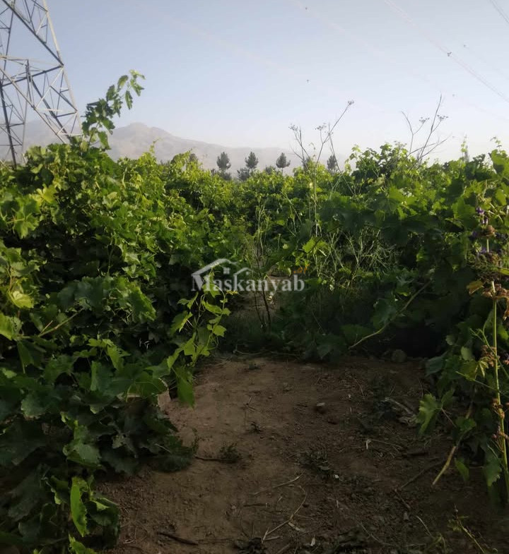 Agricultural land for sale in District Farza, Kabul