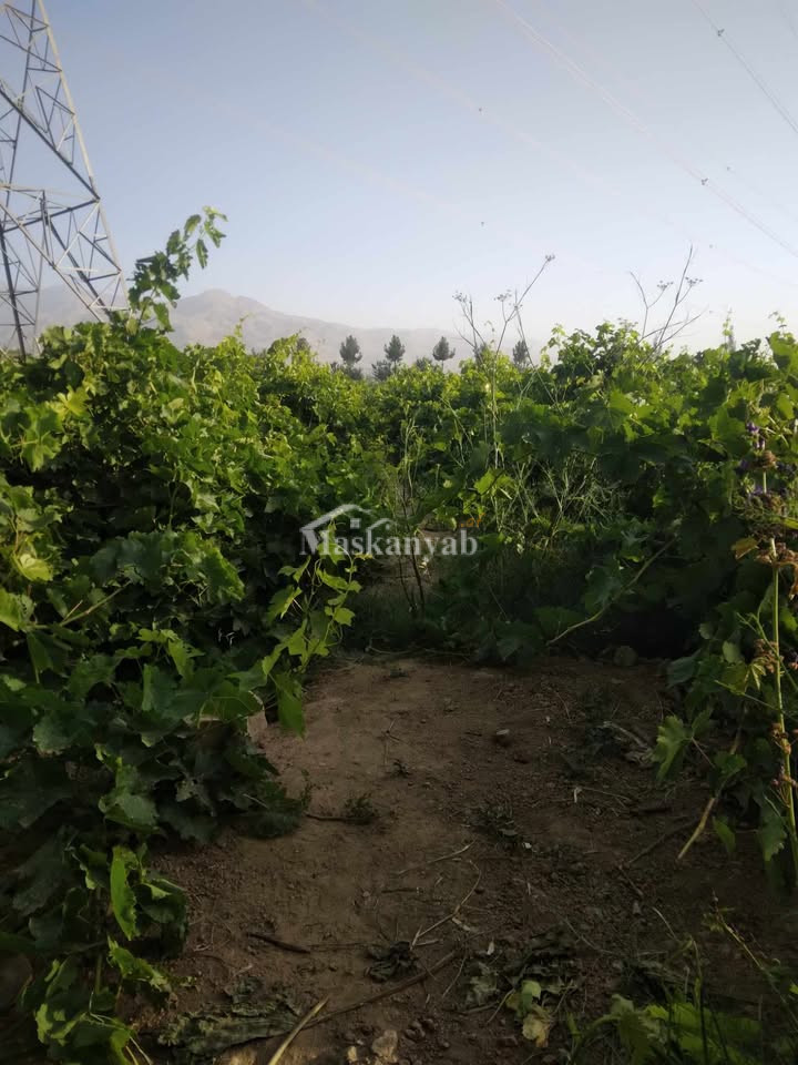 Agricultural land for sale in District Farza, Kabul