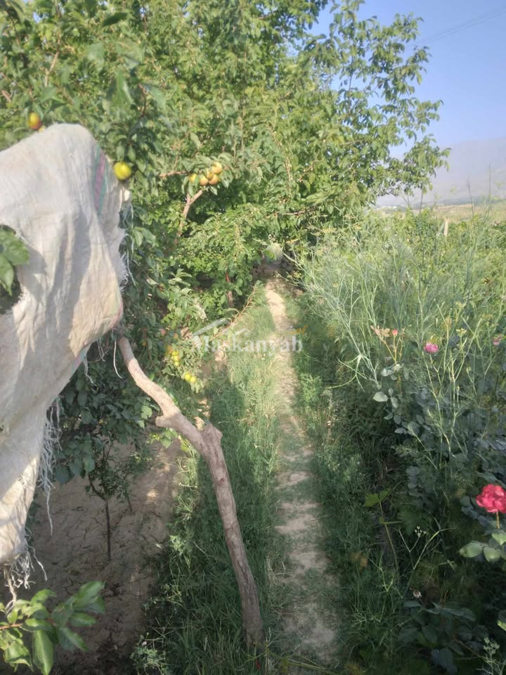 Agricultural land for sale in District Farza, Kabul