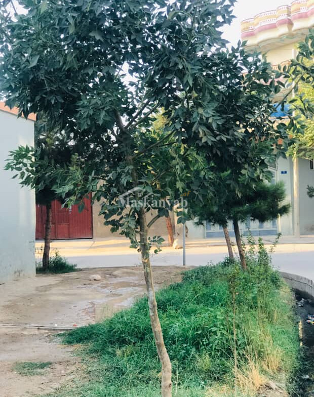 Destructive house for sale in Mazar-e-Sharif